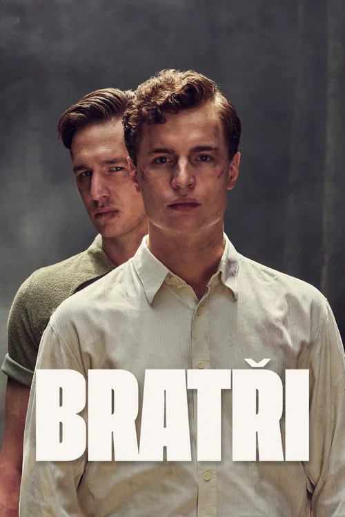 Братья постер