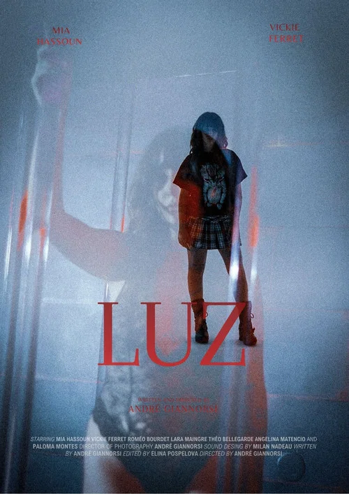 Luz постер