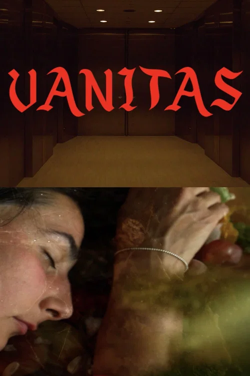 Vanitas постер