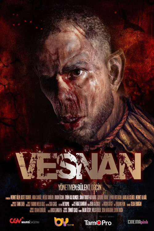 Vesnan постер