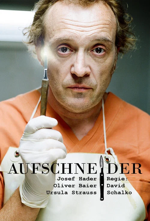 Aufschneider постер