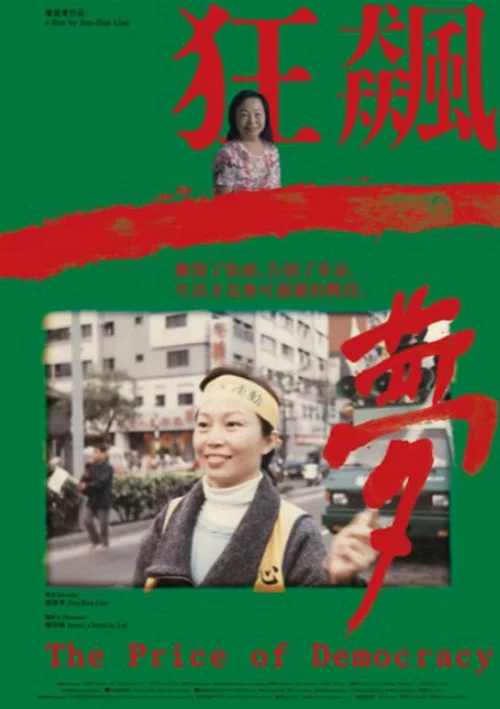 狂飆一夢 постер