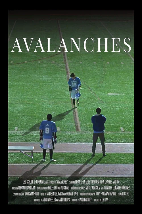 Avalanches постер