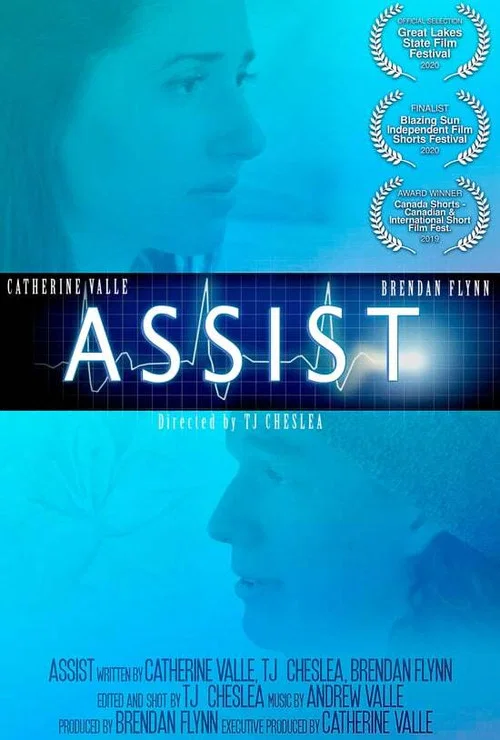 Assist постер