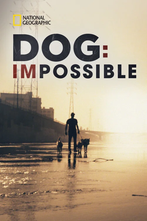 Dog: Impossible постер