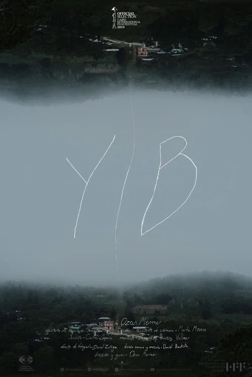 YIB постер