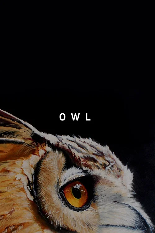 Owl постер
