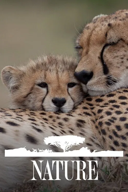 Природа постер
