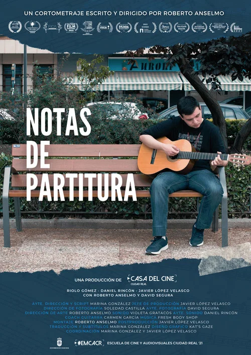 Notas de partitura постер