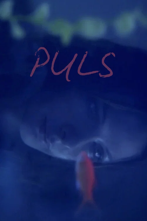 Puls постер