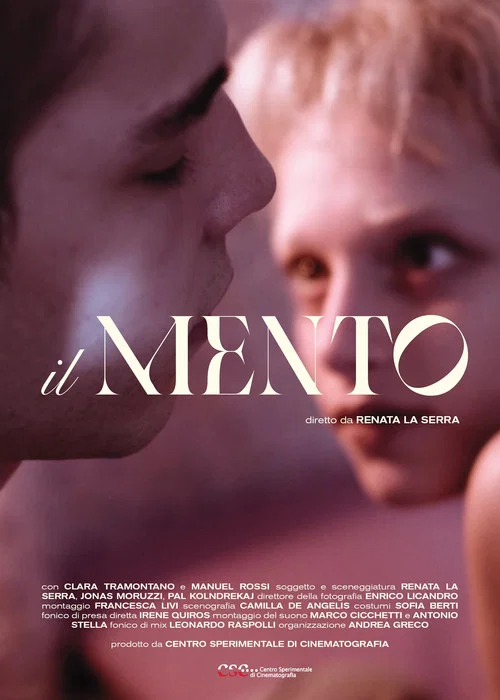 Il mento постер