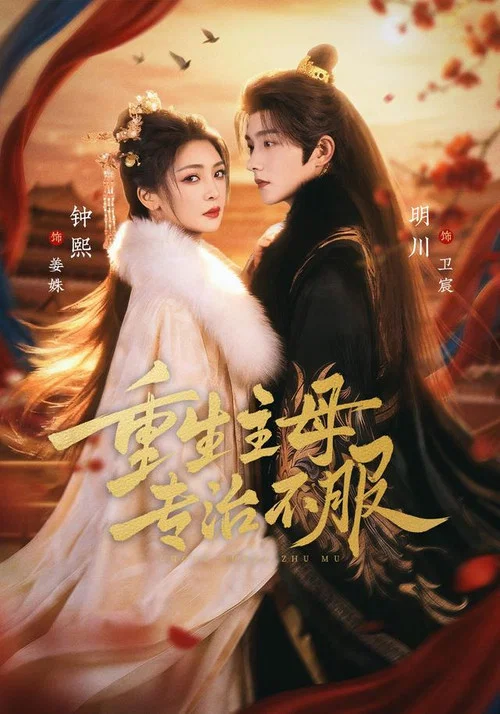 重生主母，专治不服 постер