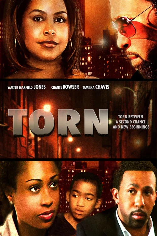Torn постер