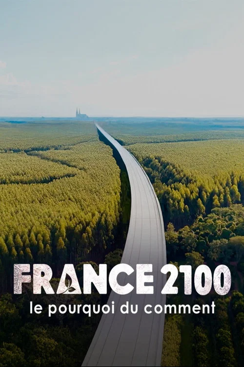 France 2100, le pourquoi du comment постер
