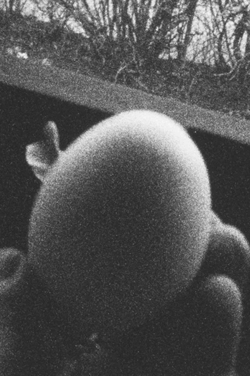 13 Eggs постер