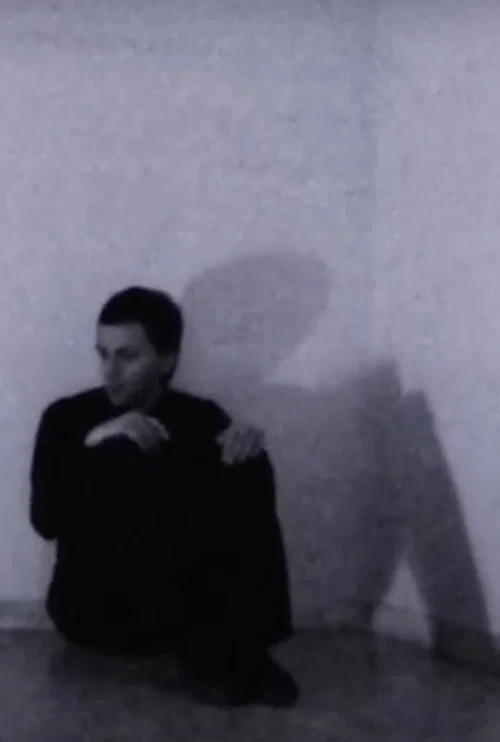 Fever Dream постер