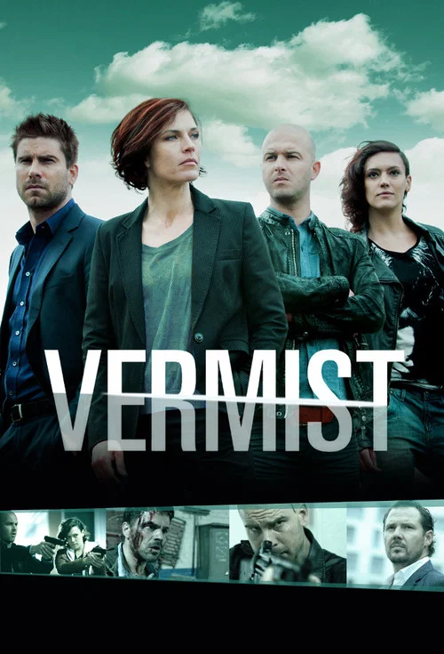 Vermist постер