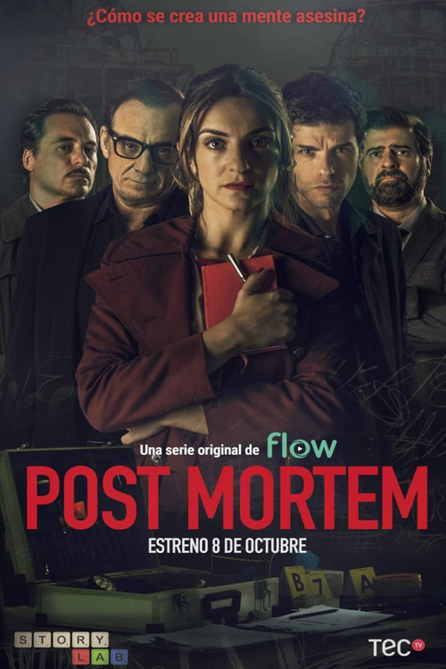 Post Mortem постер