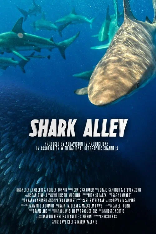 Shark Alley постер