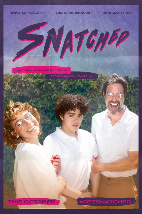 Snatched постер