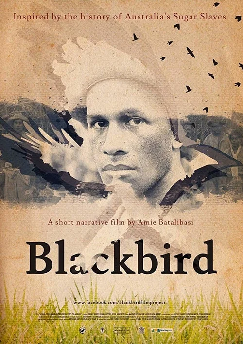 Blackbird постер