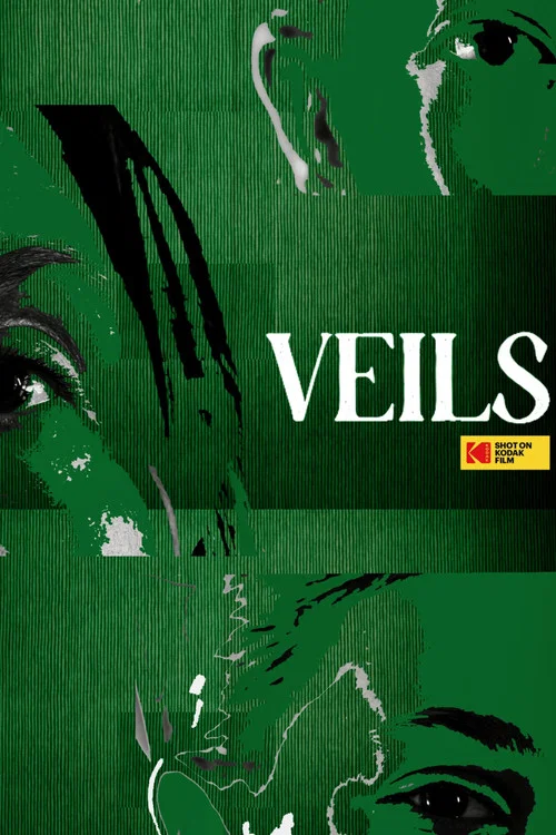 VEILS постер