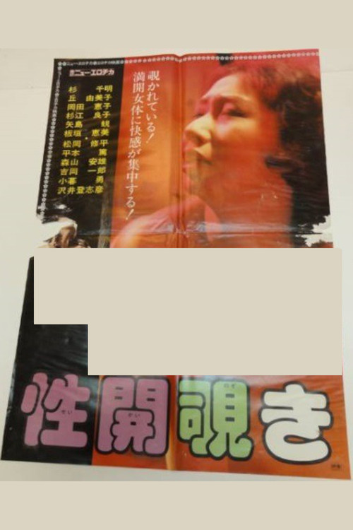 性開覗き постер