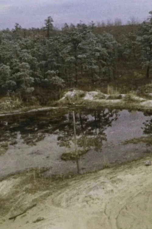 Pine Barrens постер
