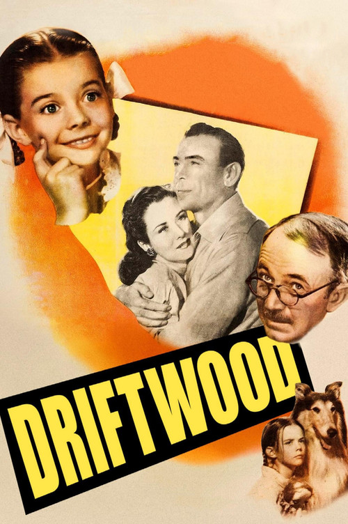 Driftwood постер