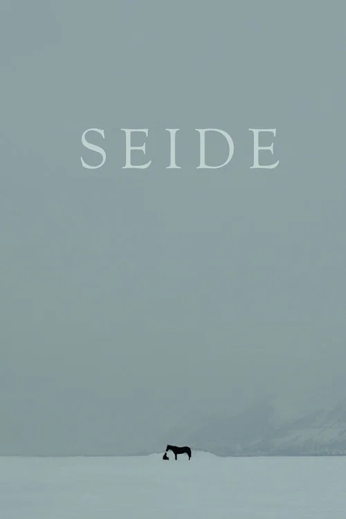 Seide постер