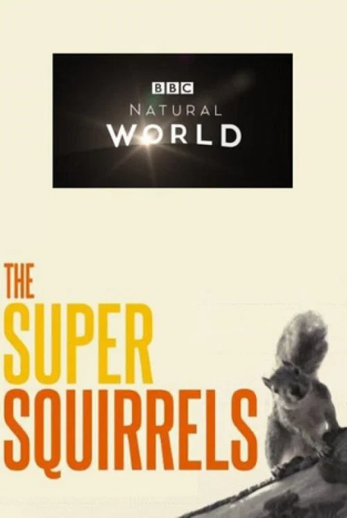 The Super Squirrels постер