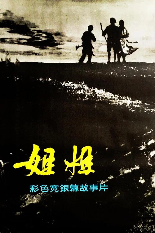 姐姐 постер