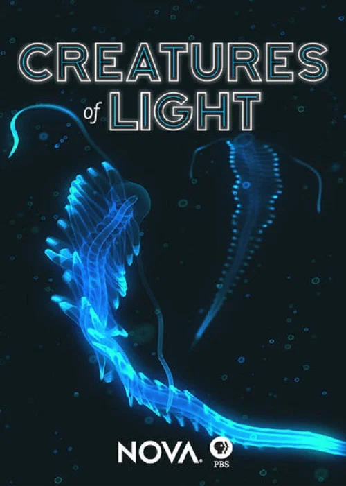 Creatures of Light постер