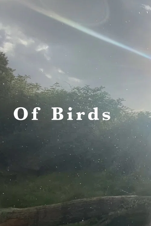 Of Birds постер