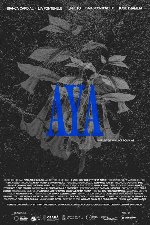AYA постер