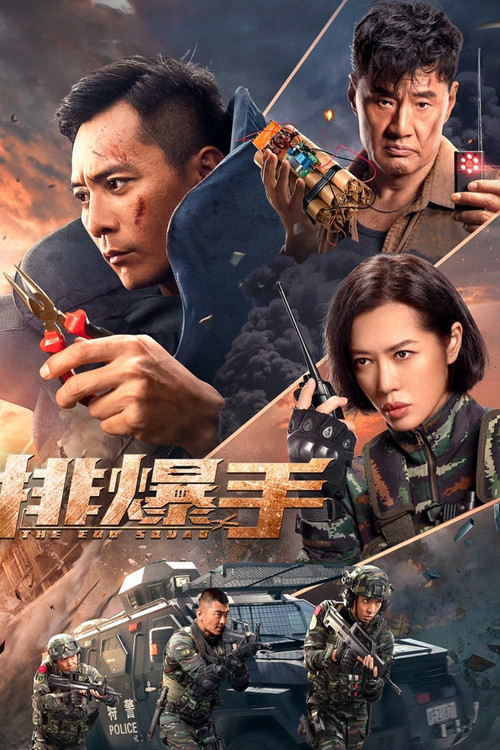 排爆手 постер
