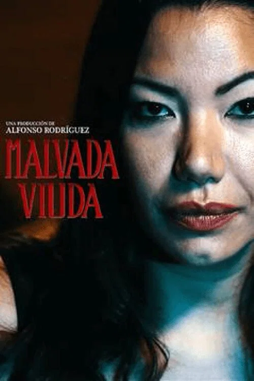 Malvada viuda постер