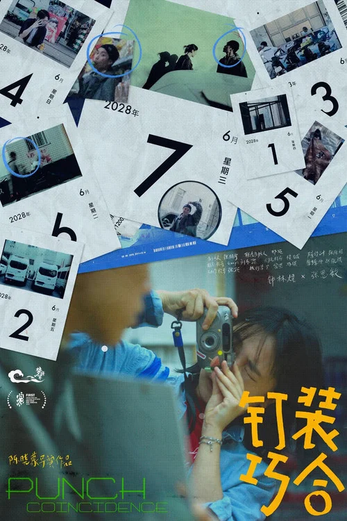 钉装巧合 постер