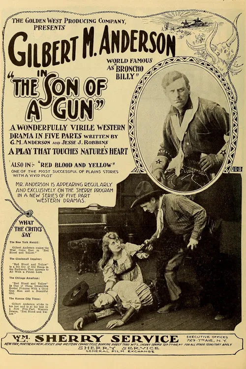 The Son-of-a-Gun постер