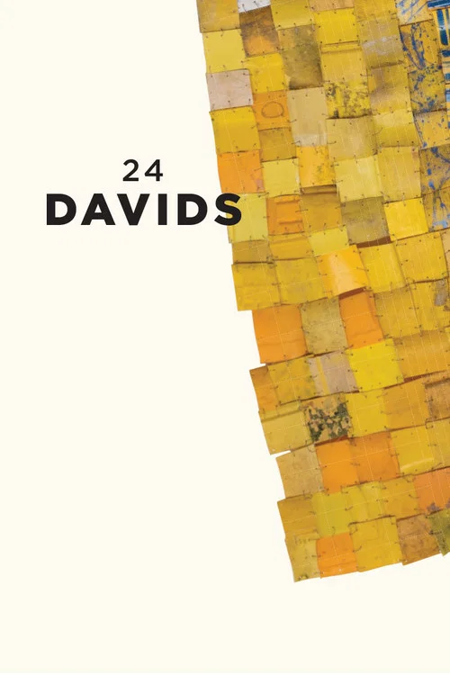 24 Davids постер