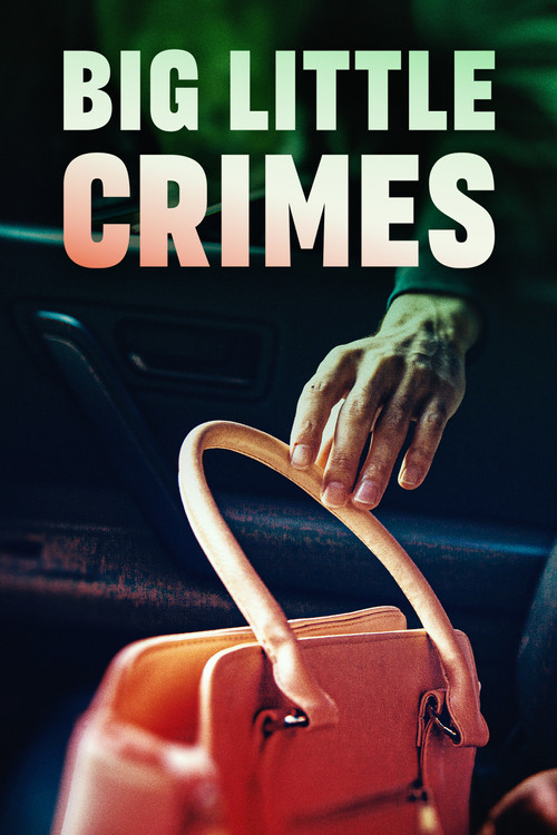 Big Little Crimes постер