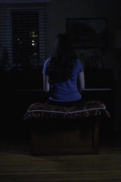 a song in b minor постер
