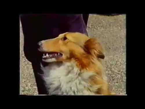 Эпизод 5