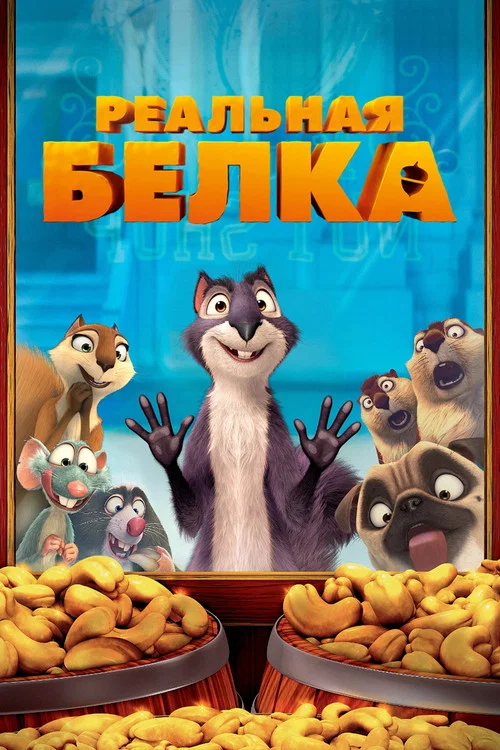 Реальная белка постер