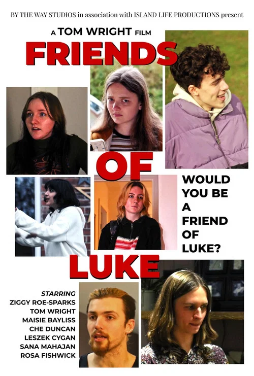 Friends of Luke постер