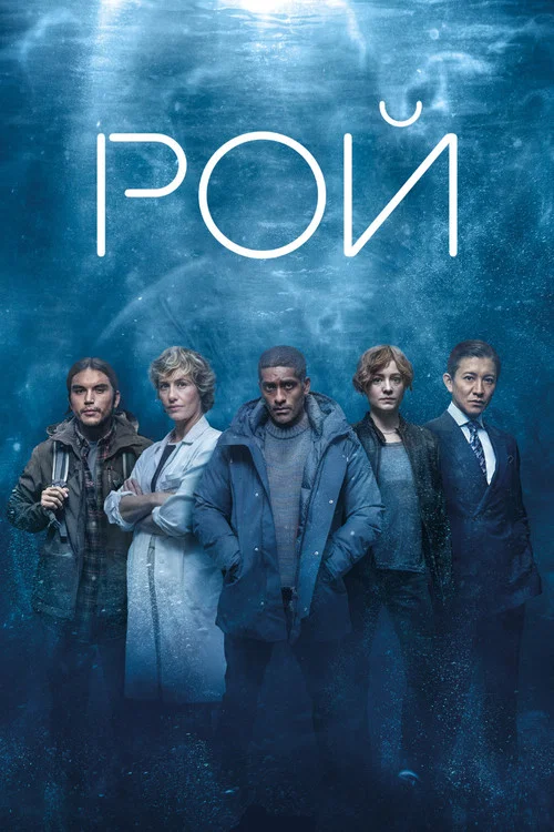 Рой постер