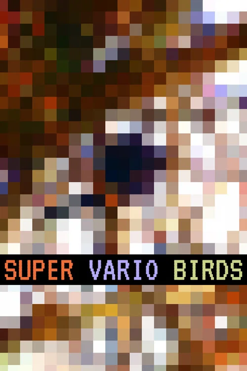 Super Vario Birds постер