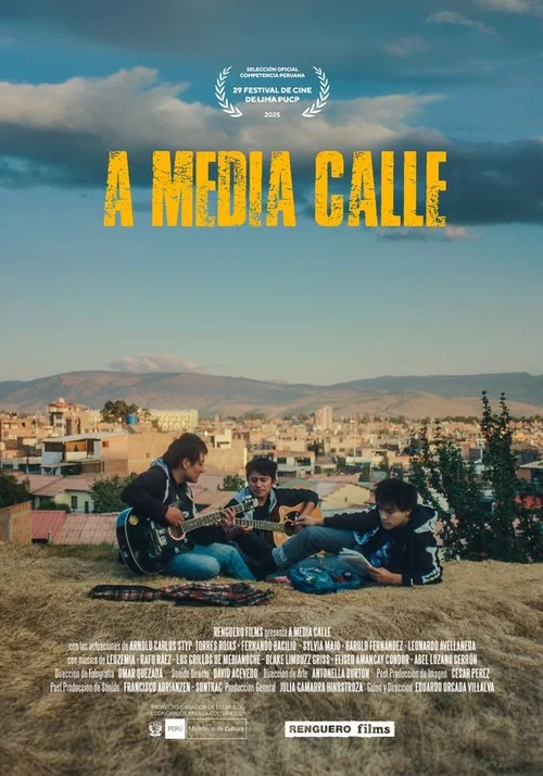 A media calle постер