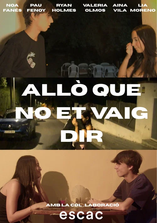 Allò que no et vaig dir постер