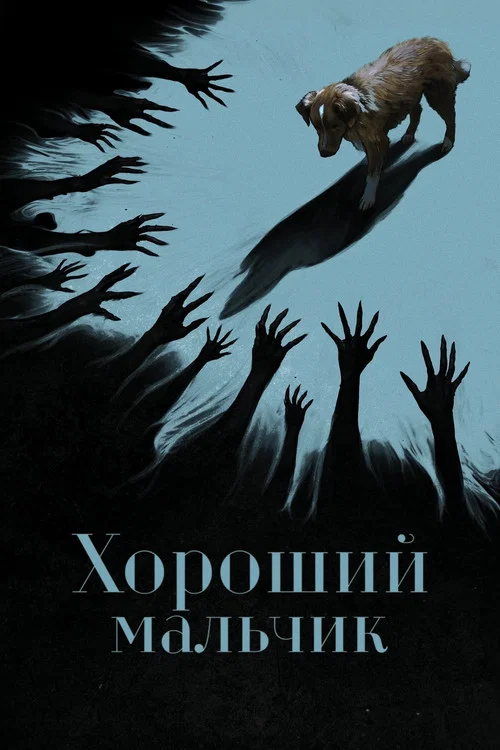 Хороший мальчик постер